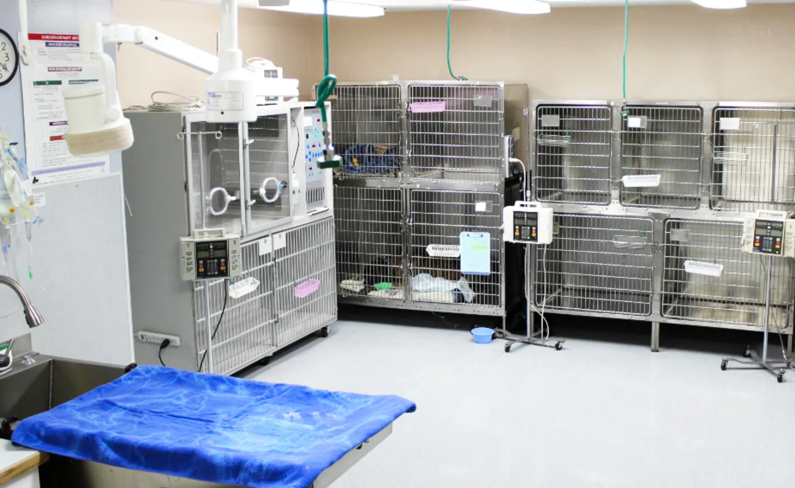 The operating and kennel room at Yakima Pet Emergency Service